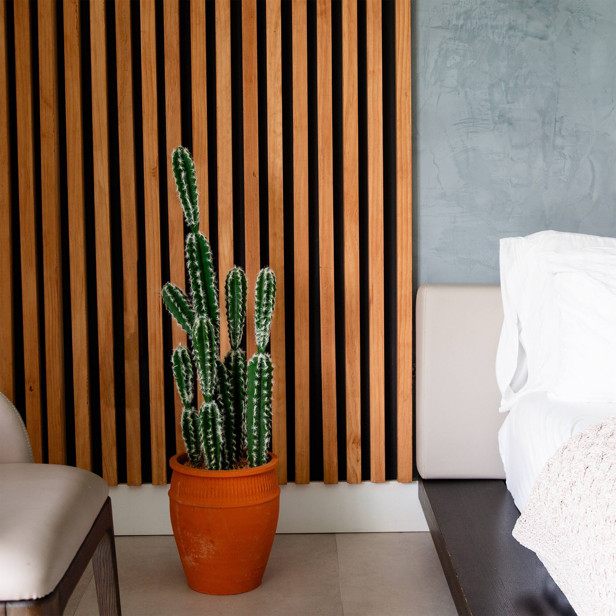3ft. Cactus in Terracotta Planter